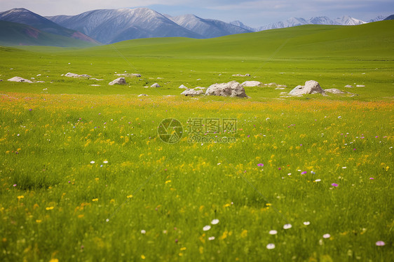 夏季旅游的喀拉峻大草原景观图片