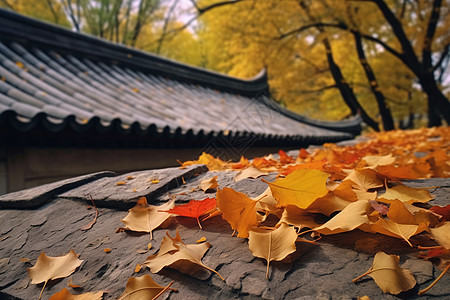 秋天枫叶落在屋顶屋檐上图片