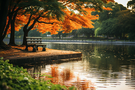 秋叶红树边湖畔图片