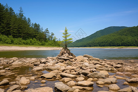 山间小溪流淌图片