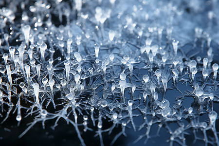 冰雪景观图片