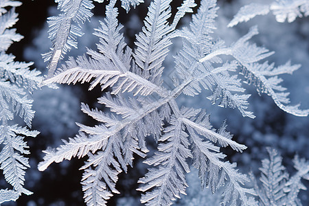 玻璃窗上的雪花图片