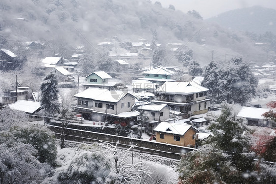 冬季白雪覆盖的村庄景观图片