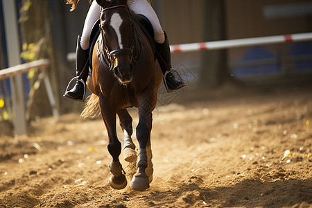 少女骑马训练图片