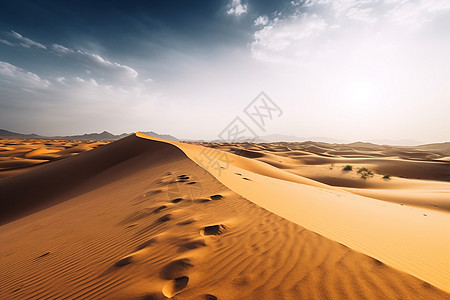 壮观的沙丘沙漠景观图片