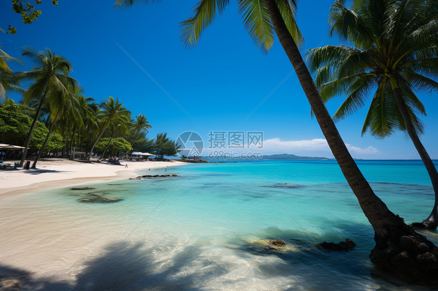 蓝天白云棕榈树与美丽的大海图片