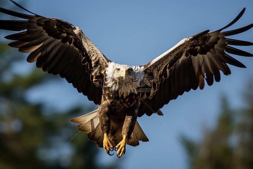 老鹰双子星携手入选东部周最佳球员阵容未来可期
