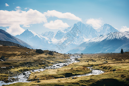 雪山下的草地图片