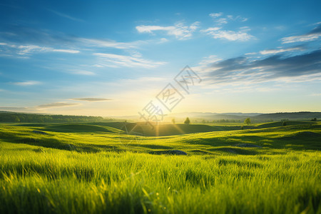草原日出晨曦下的乡村风光背景