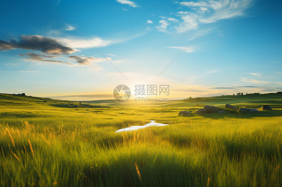 夕阳下的青草原图片