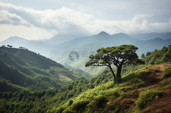 山间的美丽景色图片