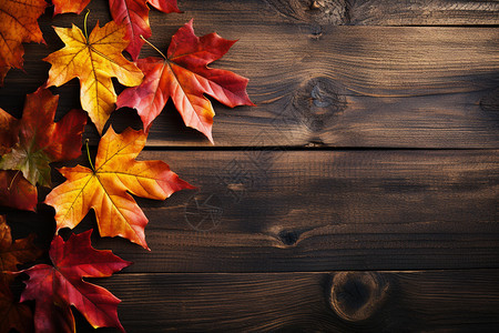 秋天的落叶散落在木头上图片