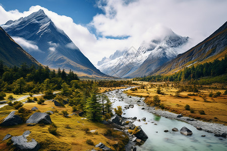 山下的绿植河流图片