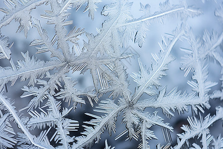 冰雪奇观的背景图片