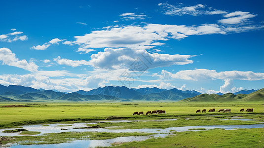 新疆草原生态系统图片