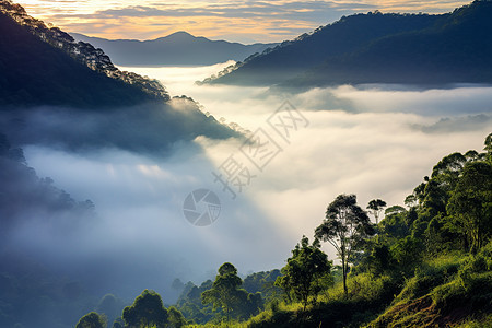 云雾缭绕的山谷背景图片