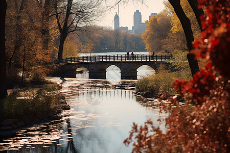 纽约秋天的公园图片