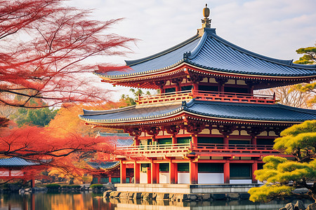 日本的枫叶庄园背景图片