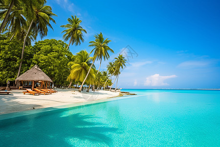 马尔代夫俯视热带海滩与棕榈树背景