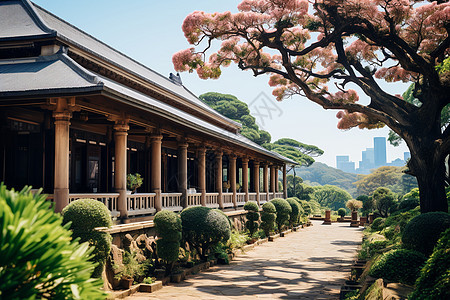 粉色花树与建筑共影图片