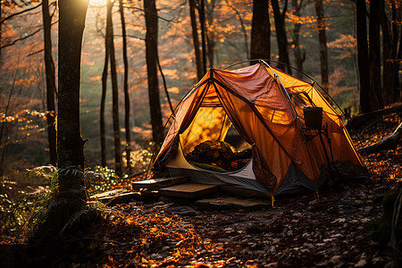 浪漫秋日秋日森林中的帐篷背景