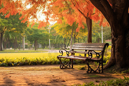 静谧的秋日公园背景图片