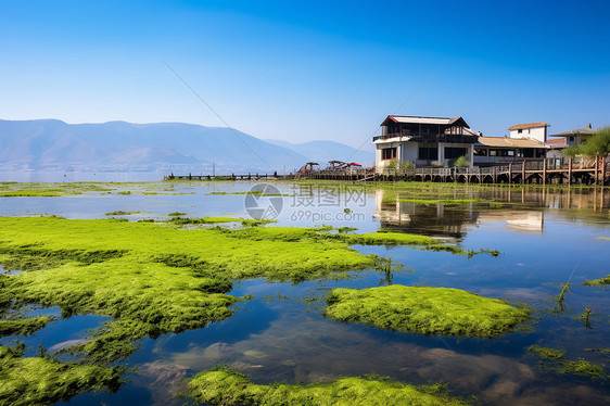 湖泊青苔旁边的小屋图片