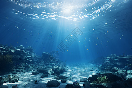 海底的乐园背景图片