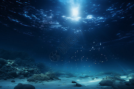 海底的美丽世界图片