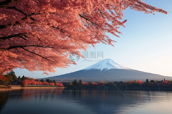 秋天的富士山图片