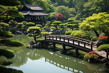 日式花园风景图片