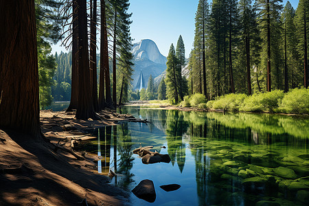 森林湖泊倒影湖泊山林间的风景背景