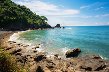 美丽的海岸线图片