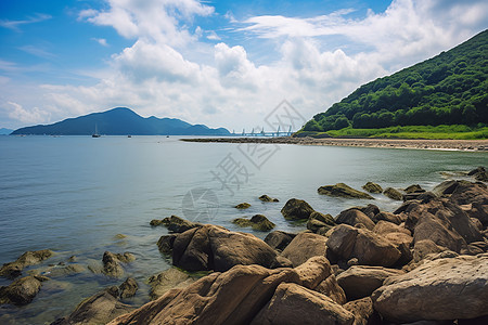 夏日海岸线图片