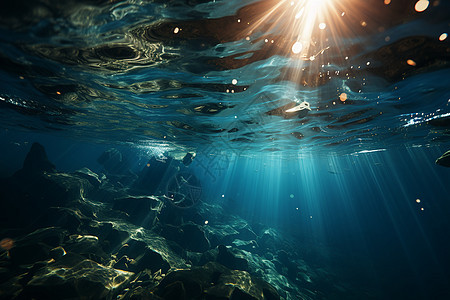 海底的阳光图片