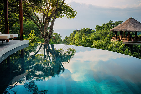 丛林度假庄园中的无边泳池图片
