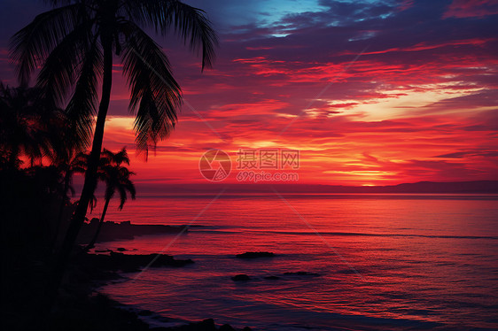 夕阳下的海滩和棕榈树图片