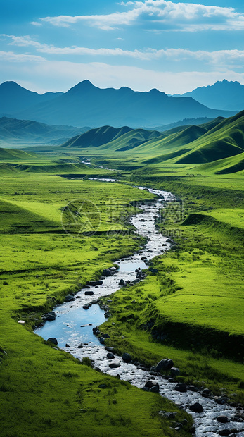 绿色草原中的河流图片