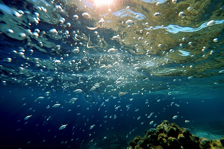海底的阳光透过水面图片