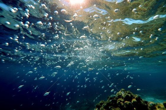 海底的阳光透过水面图片