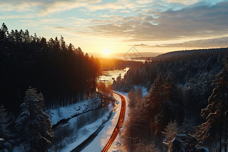 冬季森林中的道路高清图片
