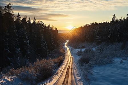 冬季森林的道路高清图片
