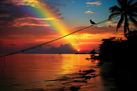 夕阳下的海上彩虹图片