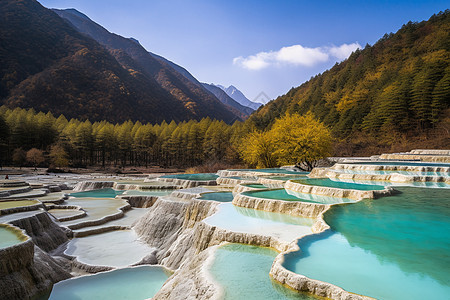 自然池子中的河流图片