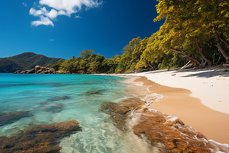 户外的热带海滩背景图片