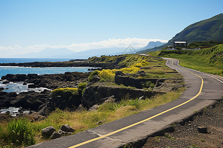 海岸边的公路图片