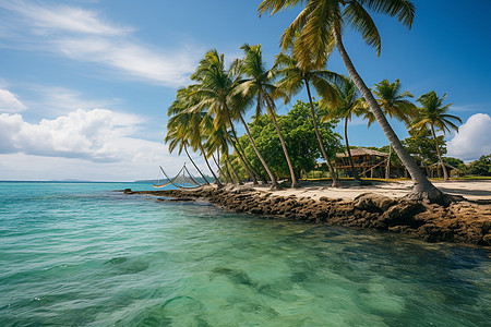 阳光沙滩与椰树图片