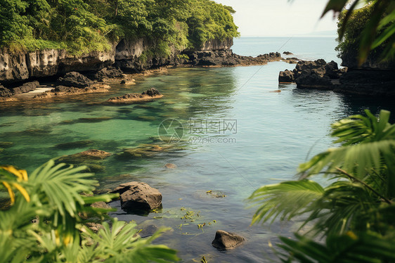 户外的美丽河流图片