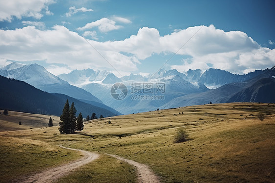 草地中的小路图片