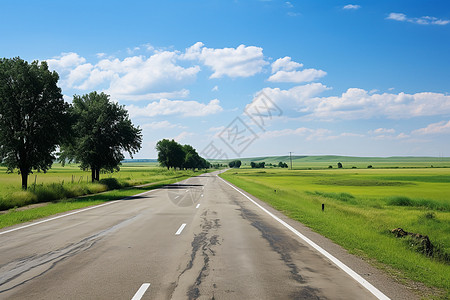 草地中间的道路图片